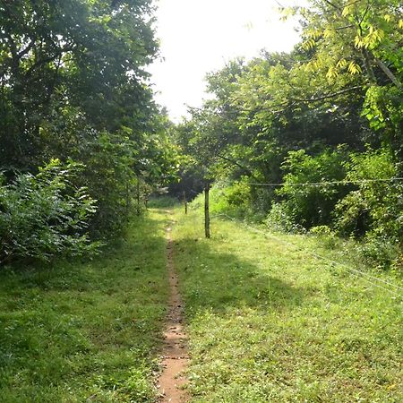 Sky Forest Habarana Dış mekan fotoğraf