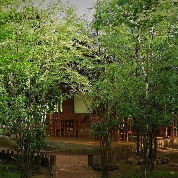 Sky Forest Habarana Dış mekan fotoğraf