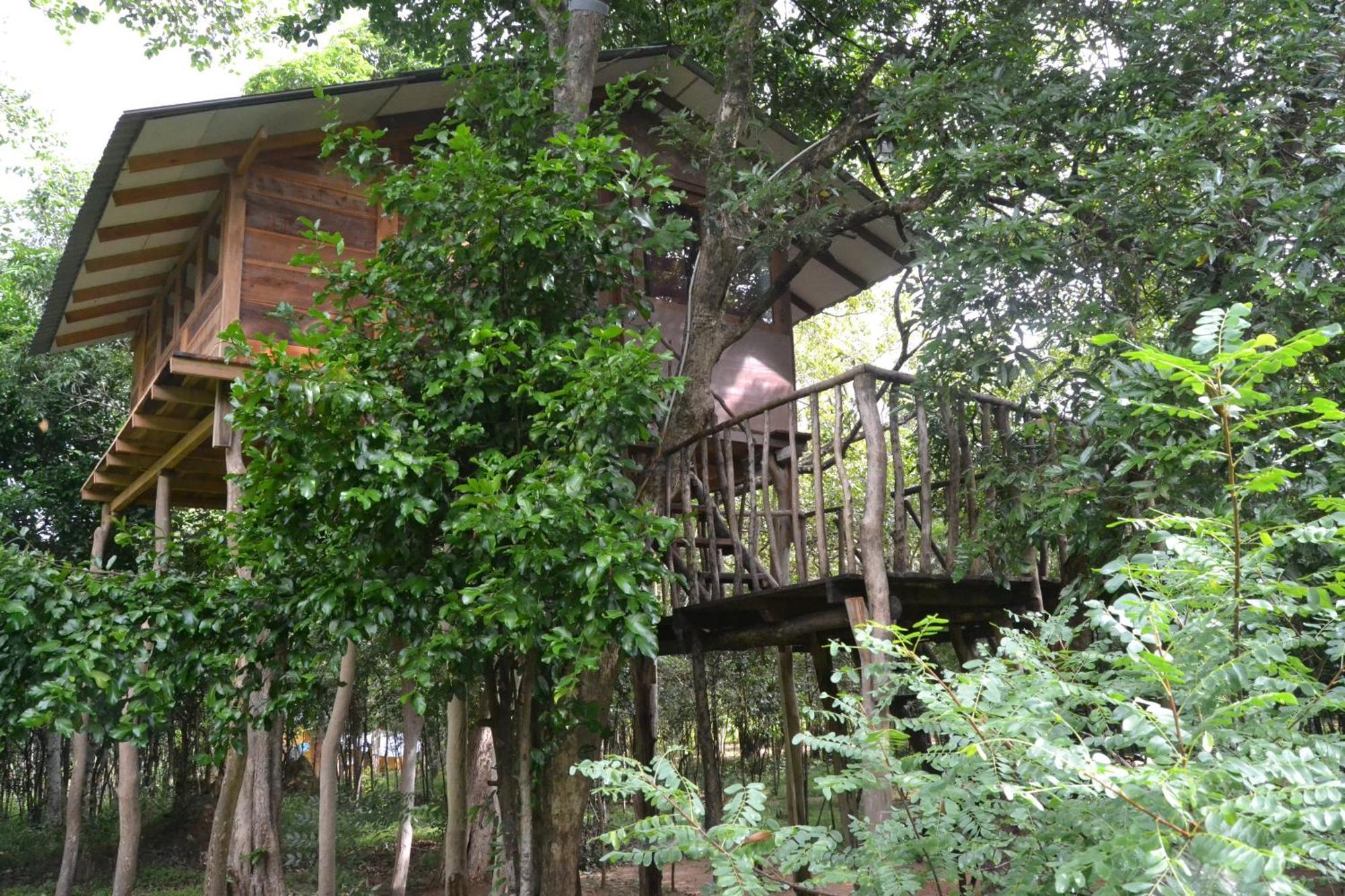 Sky Forest Habarana Dış mekan fotoğraf