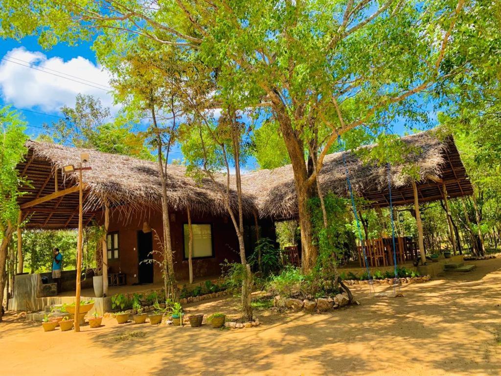 Sky Forest Habarana Dış mekan fotoğraf
