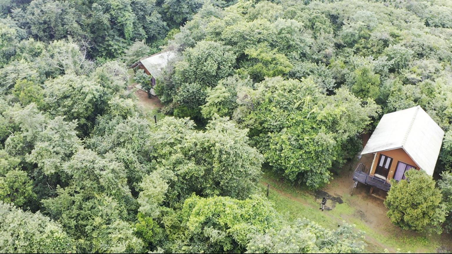 Sky Forest Habarana Dış mekan fotoğraf