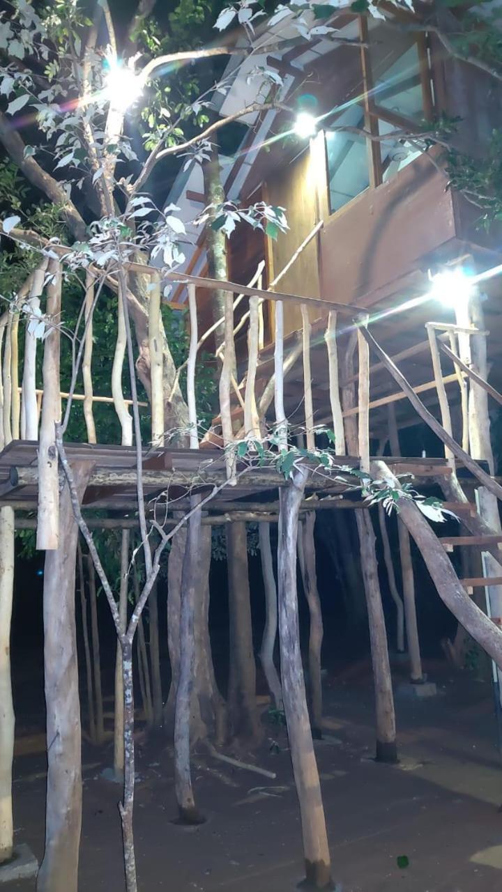 Sky Forest Habarana Dış mekan fotoğraf