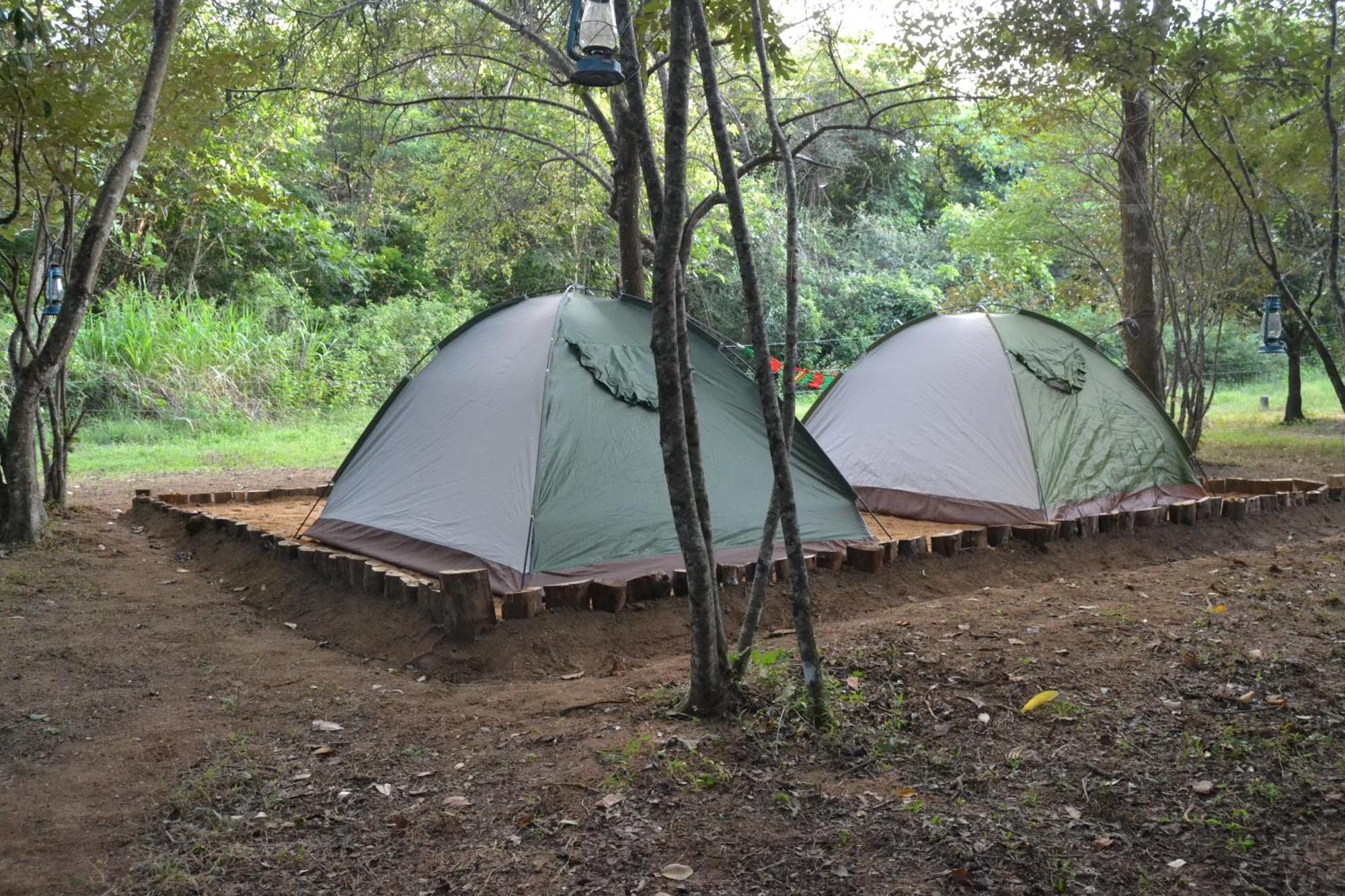 Sky Forest Habarana Dış mekan fotoğraf