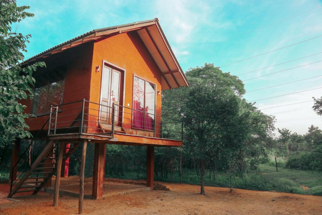 Sky Forest Habarana Dış mekan fotoğraf