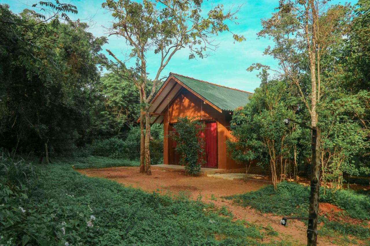 Sky Forest Habarana Dış mekan fotoğraf