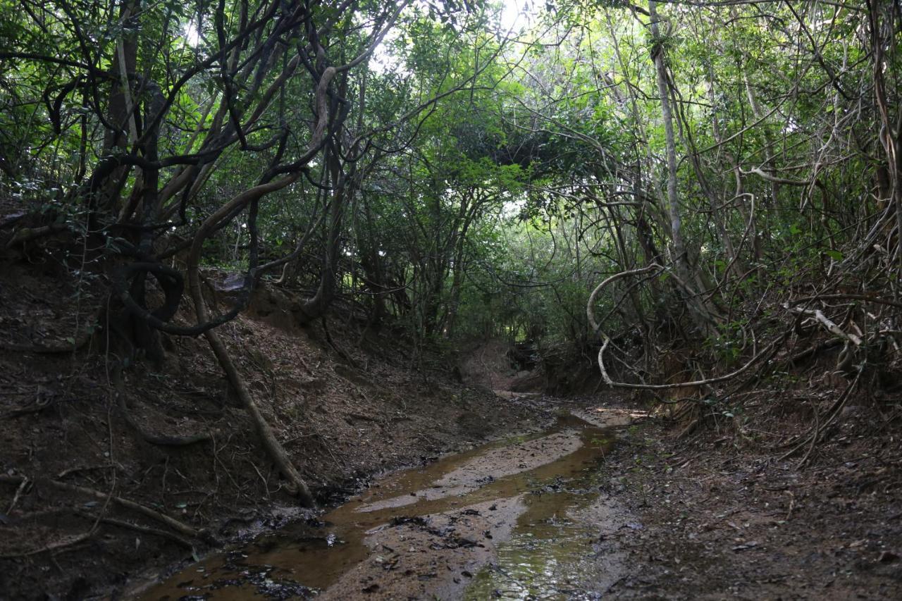 Sky Forest Habarana Dış mekan fotoğraf
